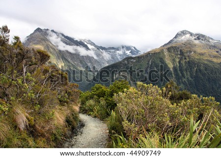 in Fiordland, New Zealand