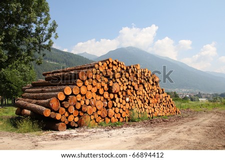 Lumber in the mountains of Italy. Stacked wood in Dolomites.