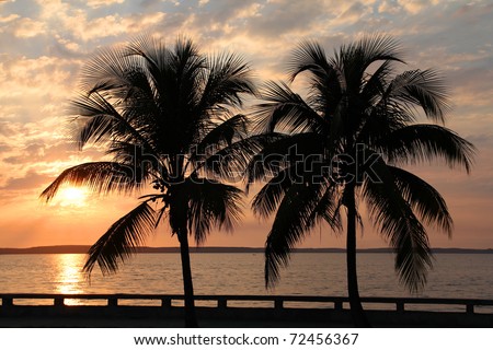 Cuba - coco palm trees and sunset in Cienfuegos
