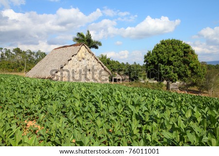 rural huts