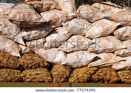 Cassava bags on a truck, vegetables transport at a market in Havana, Cuba. Text on bags is generic, no copyrighted stuff.