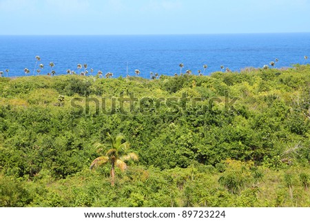 Baracoa, Cuba - natural landscape with palm trees and Atlantic Ocean