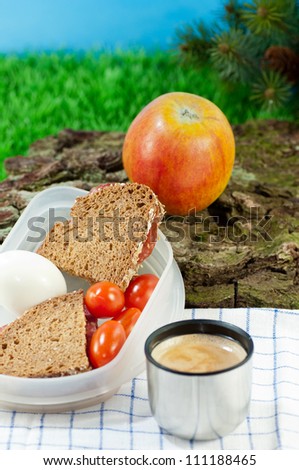 A Light meal during a rest at a hiking. There is some coffee, an apple, an hard-boiled egg, some tomatoes and a sandwich.