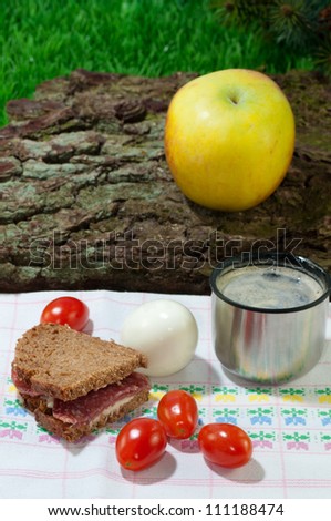 A Light meal during a rest at a hiking. There is some coffee, an apple, an hard-boiled egg, some tomatoes and a sandwich.