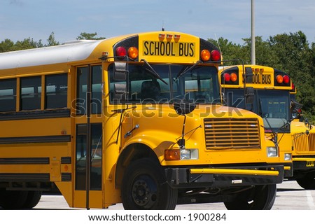 Two School Buses