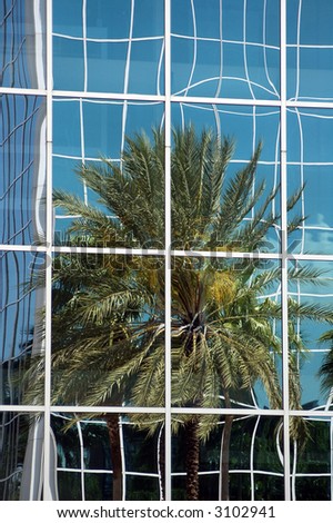 Palm trees reflected in office building windows