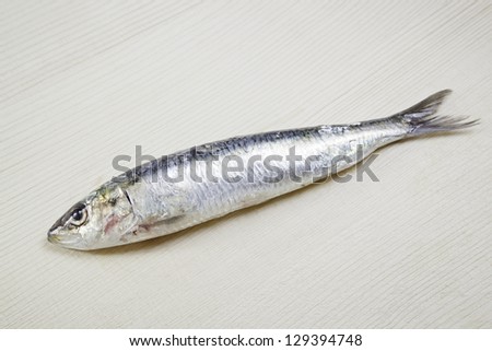 Fresh sardines, detail of raw, healthy food rich in protein, healthy food