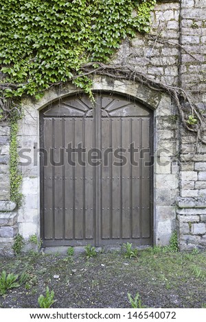 Old abandoned wooden door, detail of an old door rural abandonment and ruin