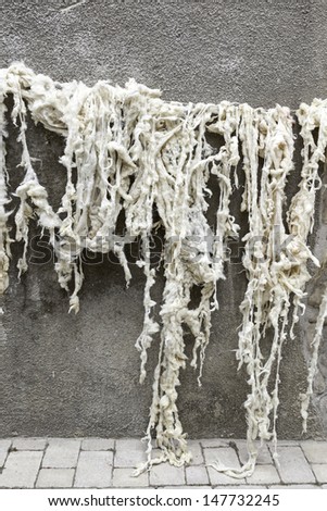 Sheep wool, sheep wool detail drying on a wall outside, tradition and manual work
