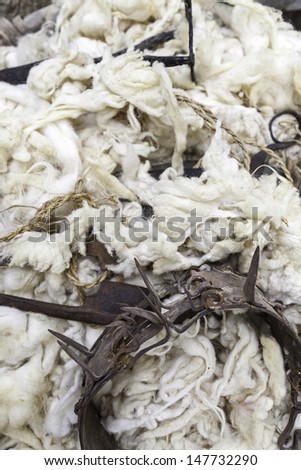 Lana and instruments for wool, sheep wool detail and ready for use, tradition and antiquity