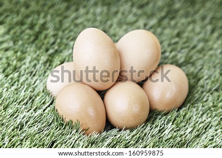 Eggs in the grass, detail of a fresh chicken eggs on a farm, nature and food