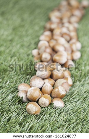 Fresh hazelnuts, nuts detail about healthy food healthy lifestyle, diet and slimming, tasty