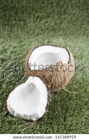 Tropical coconut cut, detail of an open tropical fruit to eat, healthy food, dessert