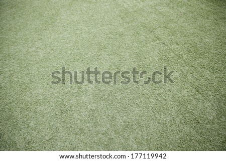 Green grass background with texture detail of a green grass with soil texture
