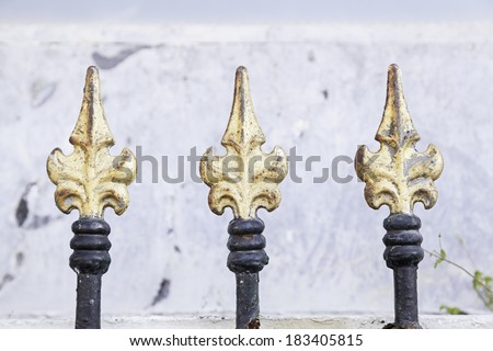 Gold painted metal gates, metal railings detail of a painted and decorated, safety and security