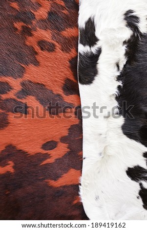 Animal skins color, detail of furs in an old market