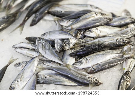 Fresh fish in a market, detail of an old fishmonger, healthy food, sea fish