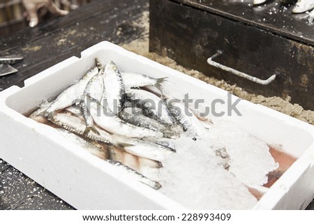 Sardines ice boxes, detail of fresh fish at a fish