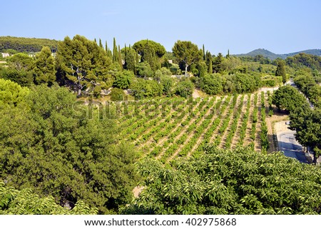Vineyard of Le Castellet, commune in the Provence-Alpes-Cote of Azur region in southeastern France