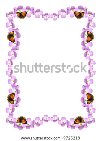 Frame flower and butterfly