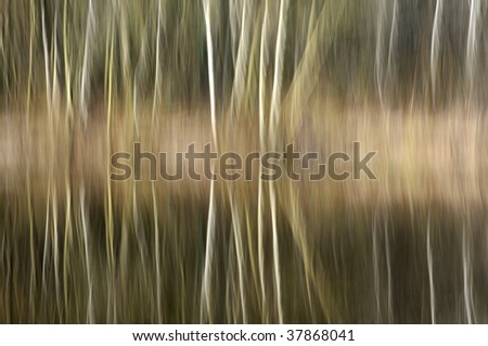 Natural background abstract of tree trunks by moving the camera