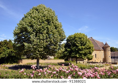 Garden and tilias at Asnières sur Vègre, commune of the Pays de la Loire region in north-western France