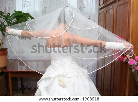 The bride shows the veil