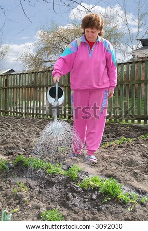 The woman waters plants on a kitchen garden