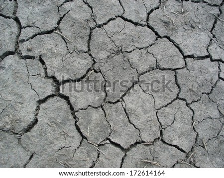 Cracked mud texture showing drought