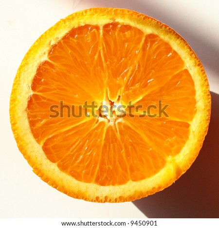 Fruit on a white background.