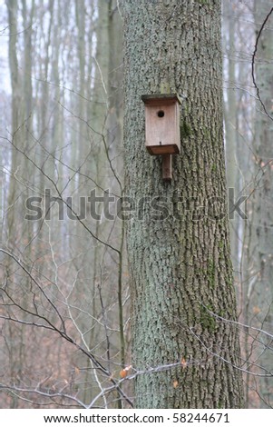 Nest box for birds in forest