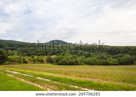 Country road near pasture and forest with overcast sky