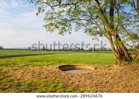 Place for watering the animals in the middle of a farming landscape with green fields and trees on background