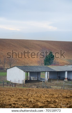 Agricultural landscape with fields and cow farm