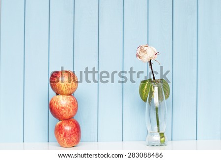 Three red apples and white rose in the bottle on the shelf on blue wooden background