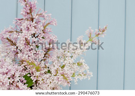Gentle bunch of lilac  on the table on blue wooden background