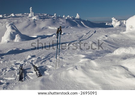 Ski on the top of the hill