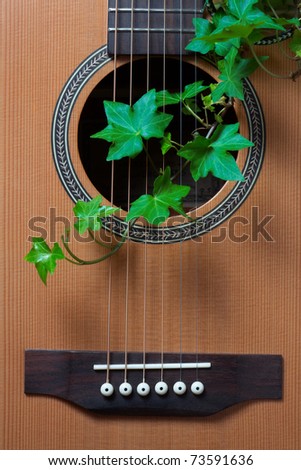 Guitar body with ivy