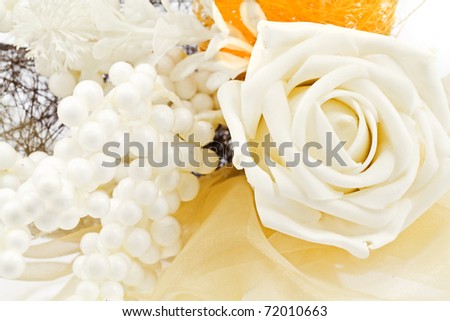 beautiful white rose flowers. eautiful white rose flowers
