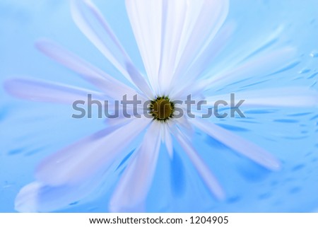 Flower on blue background, abstract