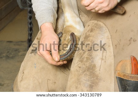 Farrier performing equine maintenance by putting on horse shoes to care for the horse
