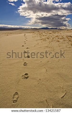 footprints heading away from the camera in the sand of Death valley\'s desert