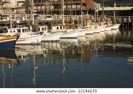 Fishing fleet at harbor in San Francisco