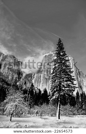 Black and white image of Clouds forming on the snow covered granite peaks (El Capitan) in Yosemite National Park with snow covered trees in the foreground