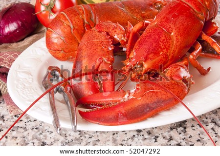 Freshly boiled lobster on a white plate with crackers, tomato, an onion and a napkin on a granite counter