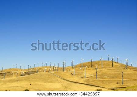 Wind powered electrical generators on a hillside in northern California