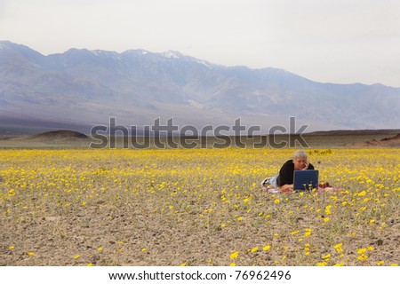 botanist in Death Valley relaxing amid the desert spring flowers catching up on some work