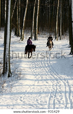 riders in snow in the forest of rudeskov in denmark