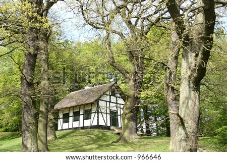 house in forest