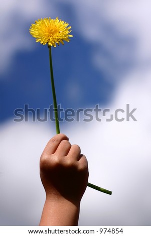 child hand giving a flower